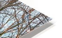 Junction HD Metal print