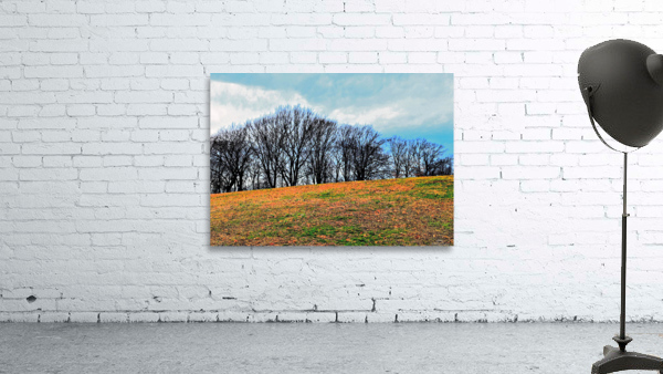 Milieu Wall Preview
