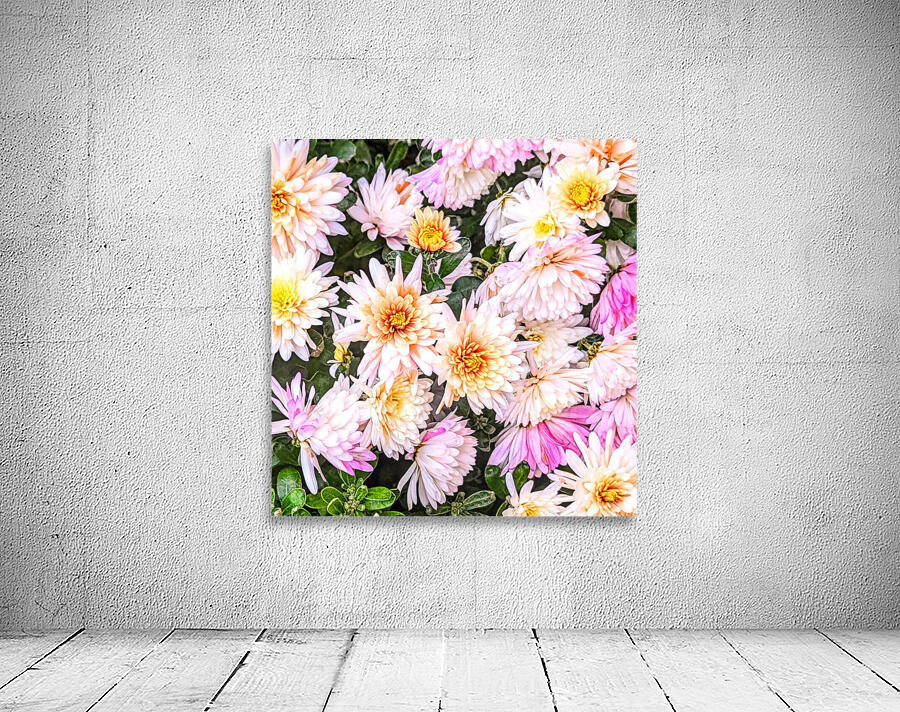 Petalous Wall Preview