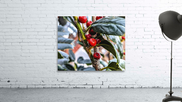 Wild Fresh Wall Preview