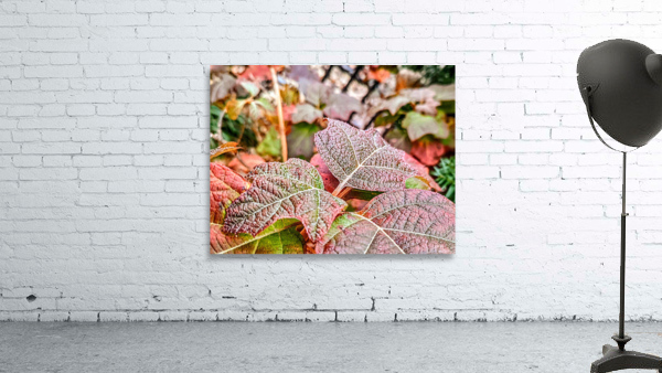 Foliar Wall Preview