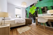Clover Mural print