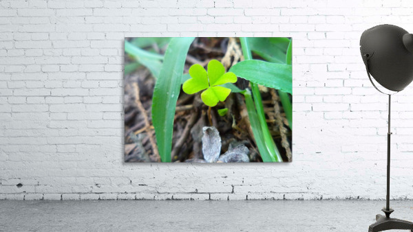 Clover Wall Preview