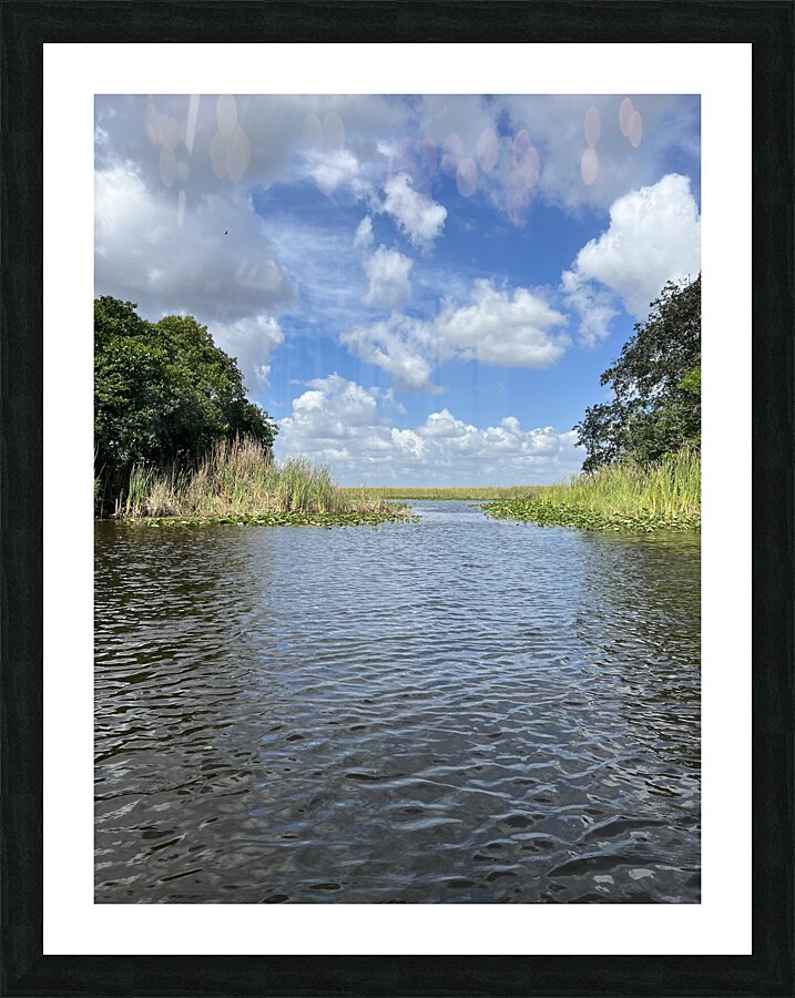 Everglades Picture Frame print