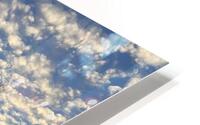 IMG 3220 HD Metal print