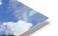 Everglades HD Metal print