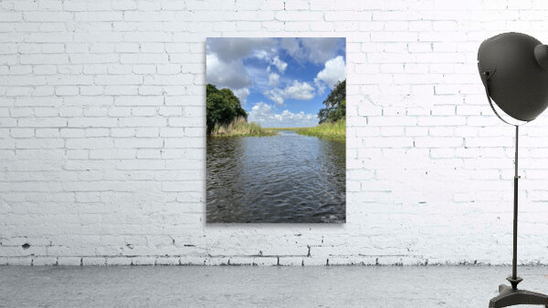 Everglades Wall Preview