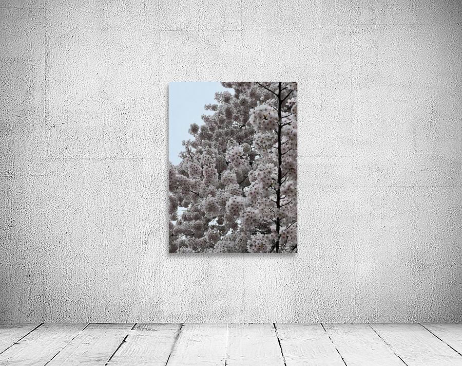 Cherries in Bloom Wall Preview