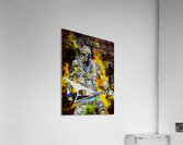 Behind Blue Eyes Acrylic Print