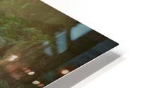 Jungle scene HD Metal print