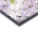 Blossom Bird Acrylic print