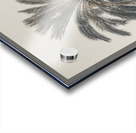 Palm Tree Acrylic print