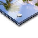 Tropical Palms Evening Acrylic print