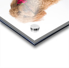 This is for you Acrylic print