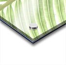 Verdant Leaf Stripes Acrylic print