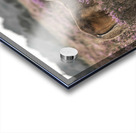 Wild Horses, New Forest Acrylic print