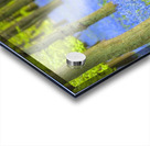 Bicycle in spring forest Acrylic print