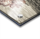 Single tree at autumn Acrylic print