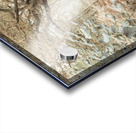 Canal through a forest Acrylic print