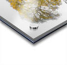 Tree on a hill, yellow, gold Acrylic print