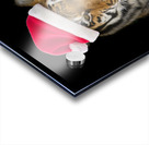 Tiger with Santa hat Acrylic print