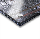 Snowy Canal Acrylic print