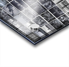 NYC Collage Acrylic print