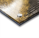 White Gold Acrylic print