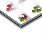Veg on White Acrylic print