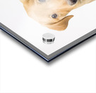 Cute Puppy Acrylic print