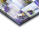 Lavender Collage Acrylic print