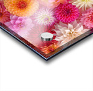 Blossom Medley Acrylic print