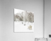 White Winter Acrylic Print