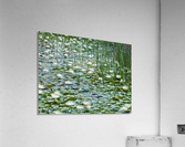 Water Lilies Acrylic Print