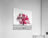 Tree on a hill, red Acrylic Print
