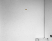 Canal through a forest Acrylic Print