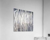 Frost on Grass Acrylic Print