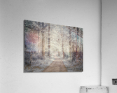 Forest Pathway Acrylic Print