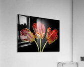 Rococo Tulips Acrylic Print