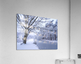 Snowy Forest Canal Acrylic Print