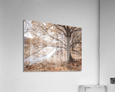 Derwentwater Lake Acrylic Print