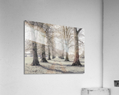 Whispering Woods Acrylic Print