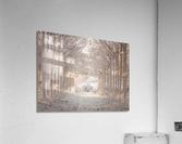 Winter Forest Acrylic Print