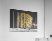 Yellow Tree on a hill Acrylic Print
