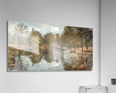 Trees by a lake Acrylic Print