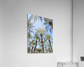 Keep Palm and carry on Acrylic Print