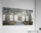 Frosted road through forest Acrylic Print