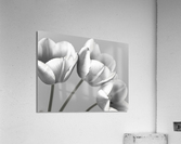 Natures Brushstrokes Acrylic Print
