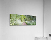 Woodland spring path Acrylic Print