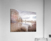 Pond reflection Acrylic Print